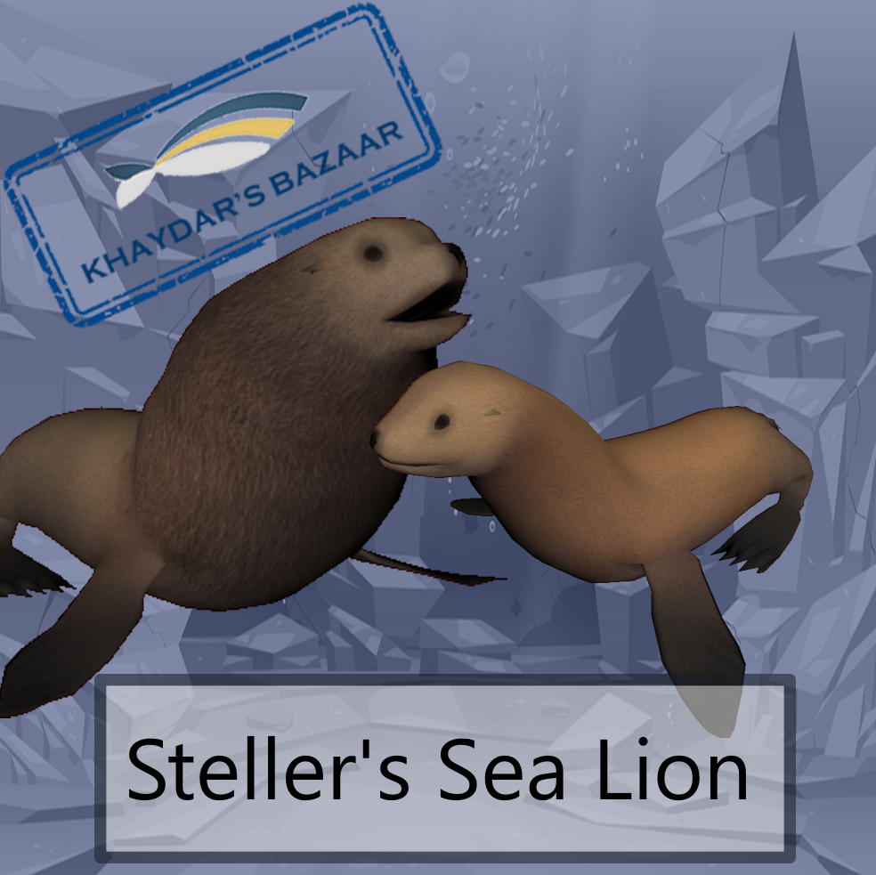 Khaydar's Bazaar - Steller's Sea Lion