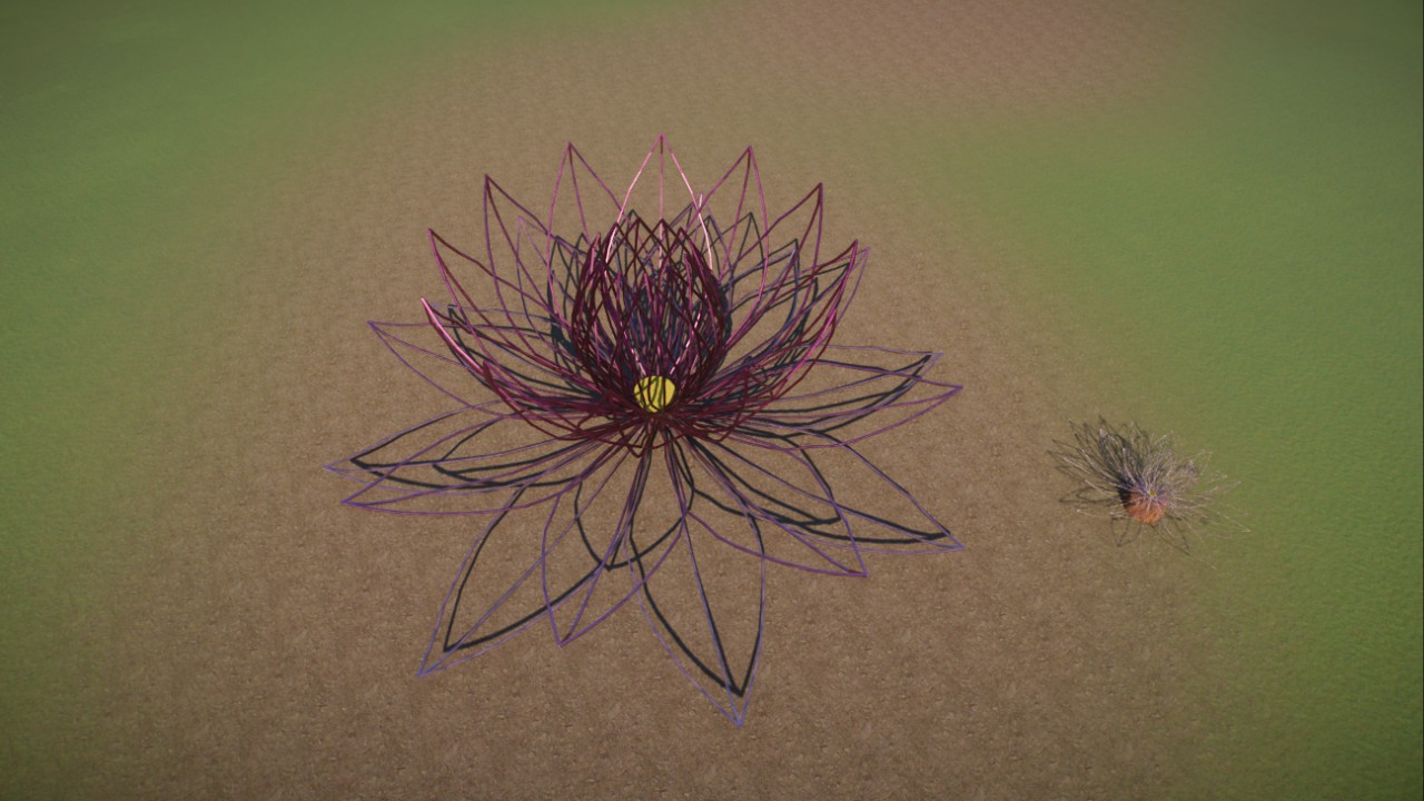 Lotusblüten / Nelumbo