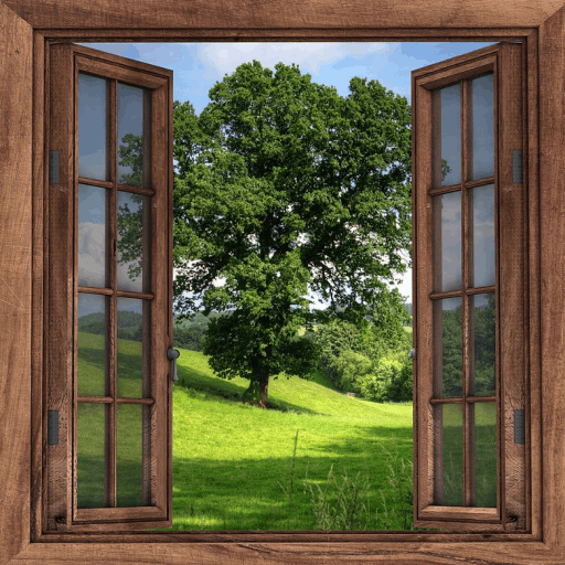 Tree through window