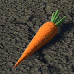 Carrot
