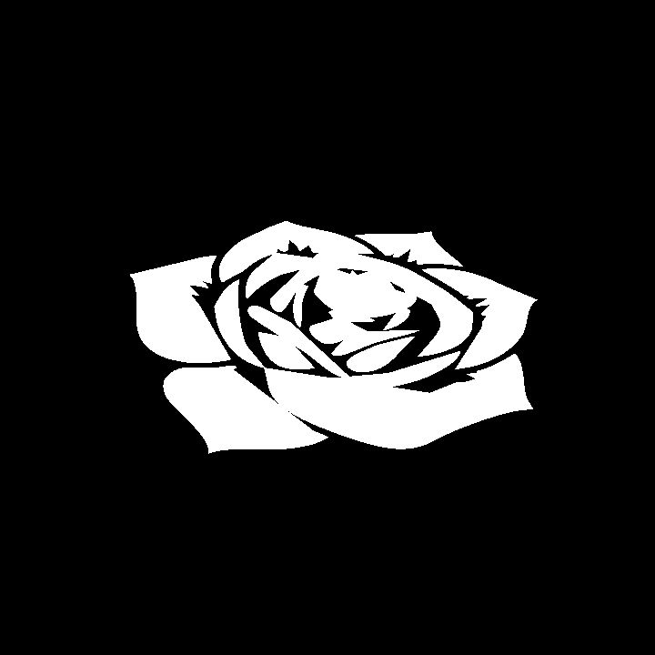 A glowing sigil - white rose