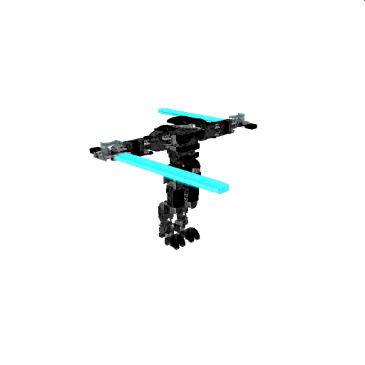 Ninja