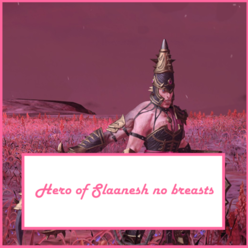 Hero of Slaaneh no breasts