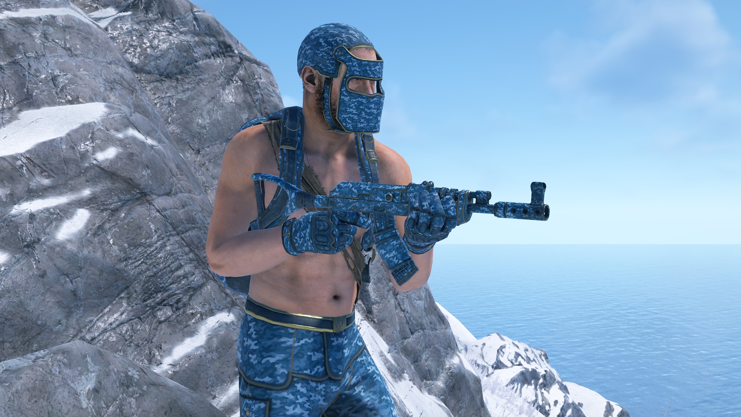 Naval Camo AR