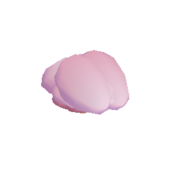 Brain w/o Nerves
