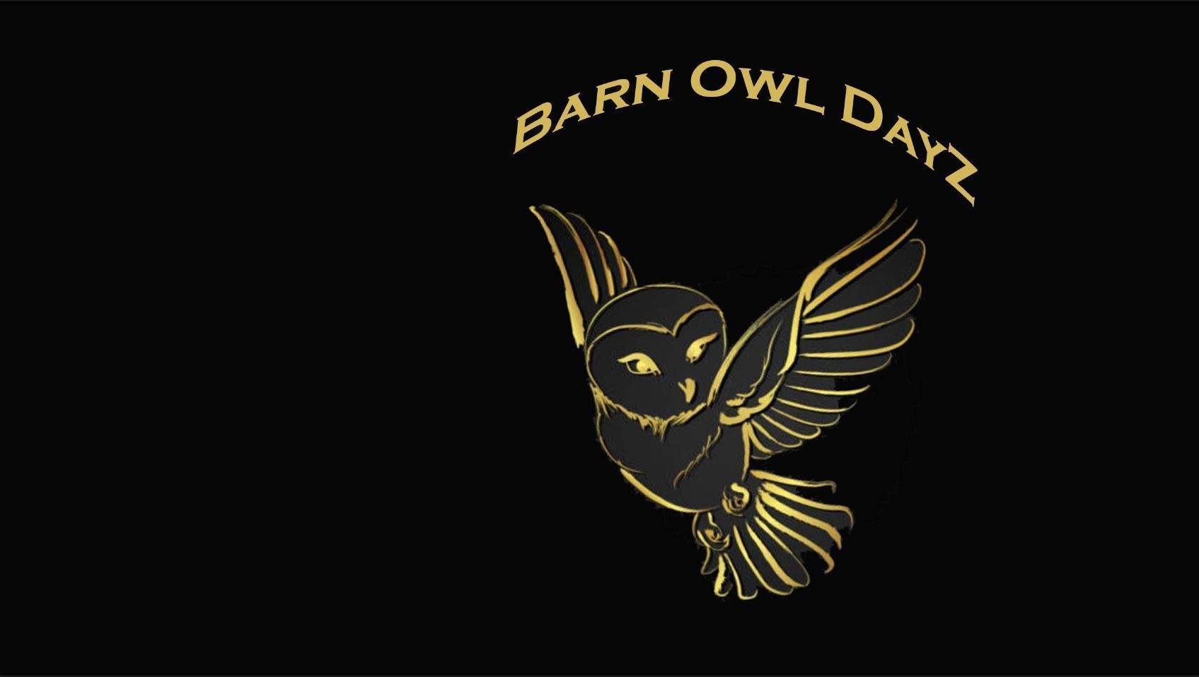 Barn Owl DG