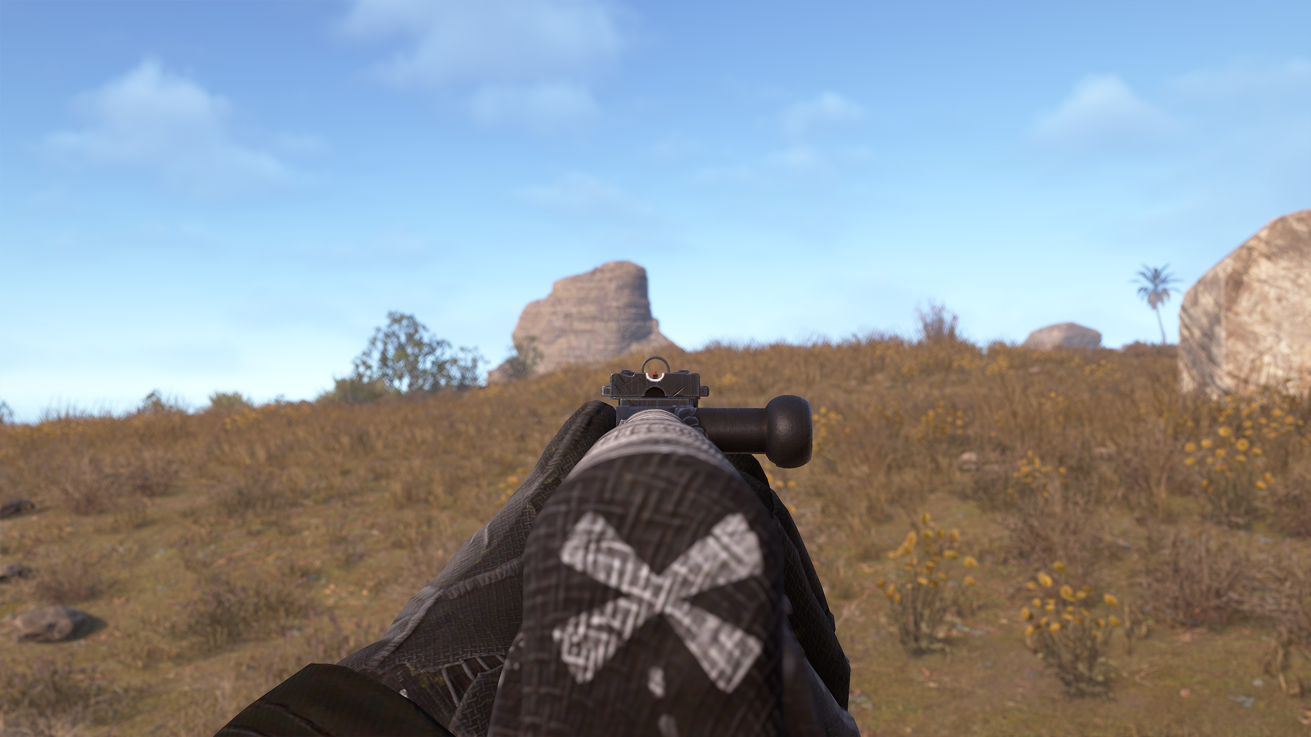 Pirate SKS thumbnail 7