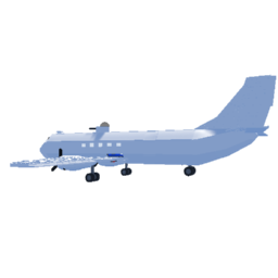 Softbody AIR LINER Lisunov LI-2