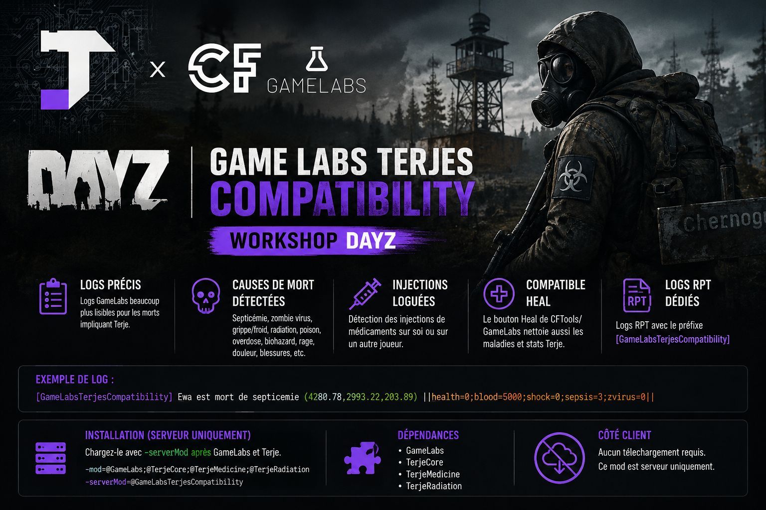 GameLabsTerjesCompatibility