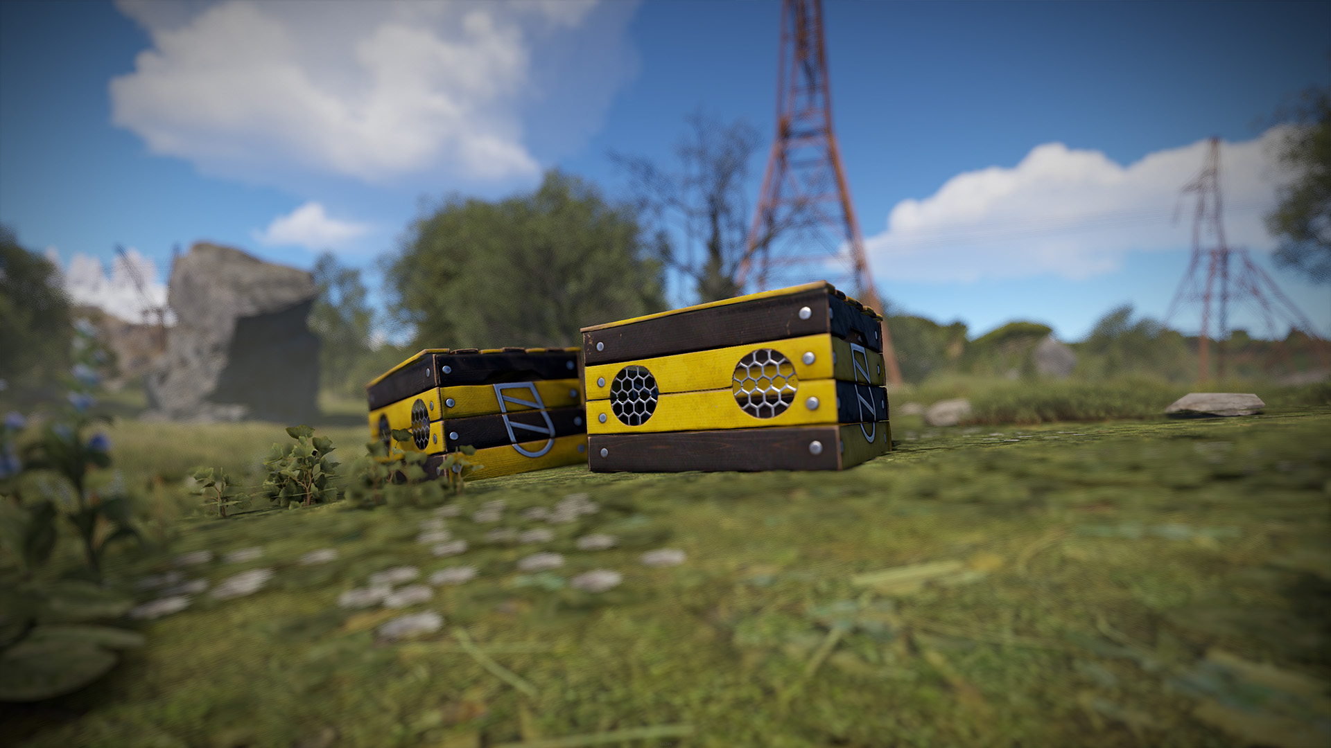 Bee Box thumbnail 6