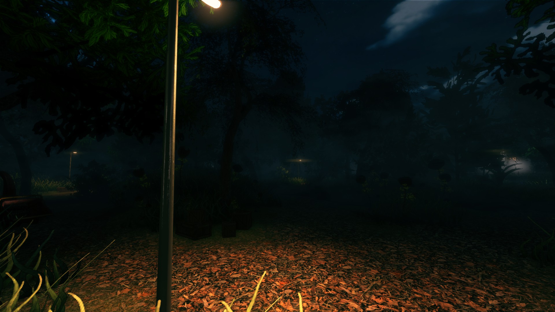 The Forest