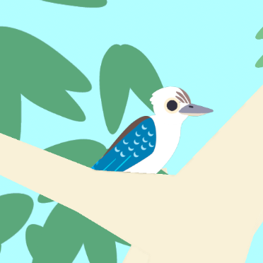 Blue Winged Kookaburra