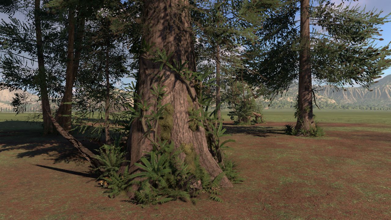 Elatides with Epiphytes