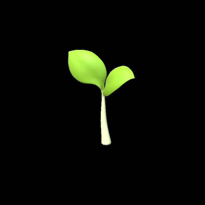 Seedling 1