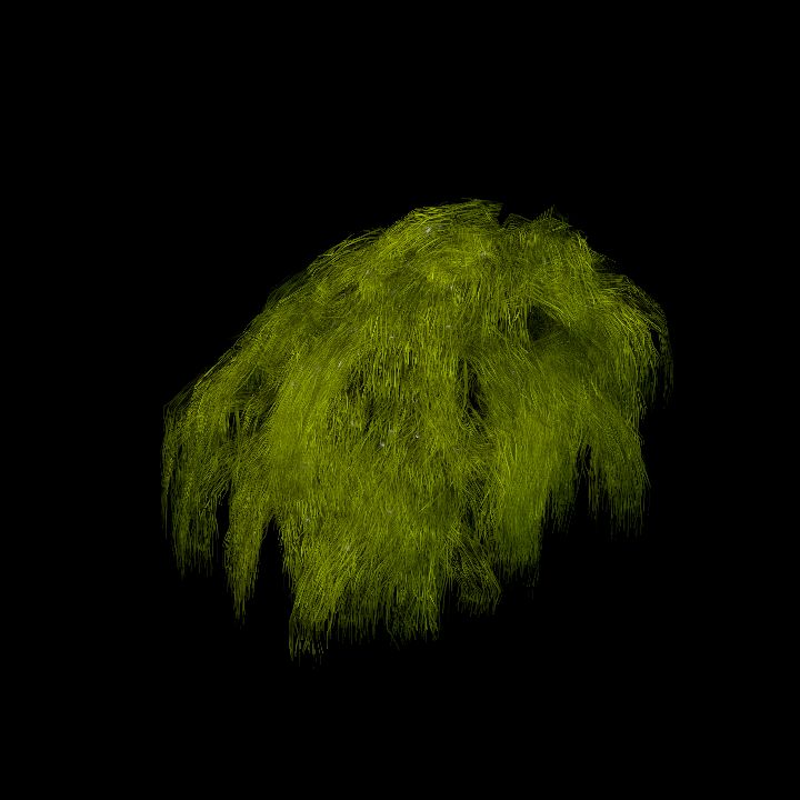 SwampTussockFloor_7