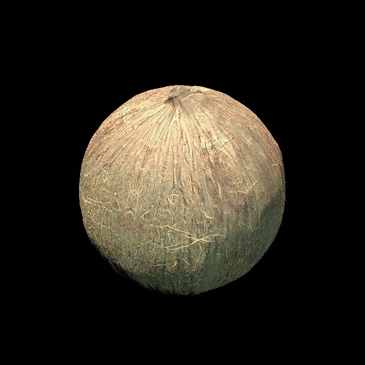 Coconut 2