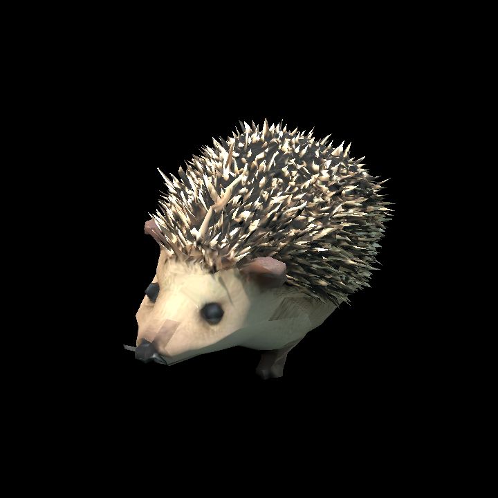 Hedgehog toy