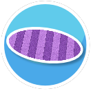 Rug Purple Stripes Oval