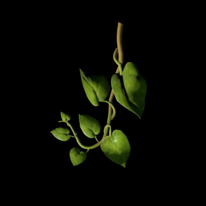 Vine_18