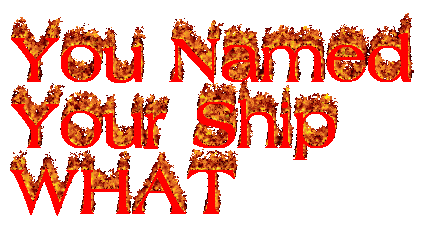 YouNamedYourShipWHAT
