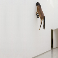 honse