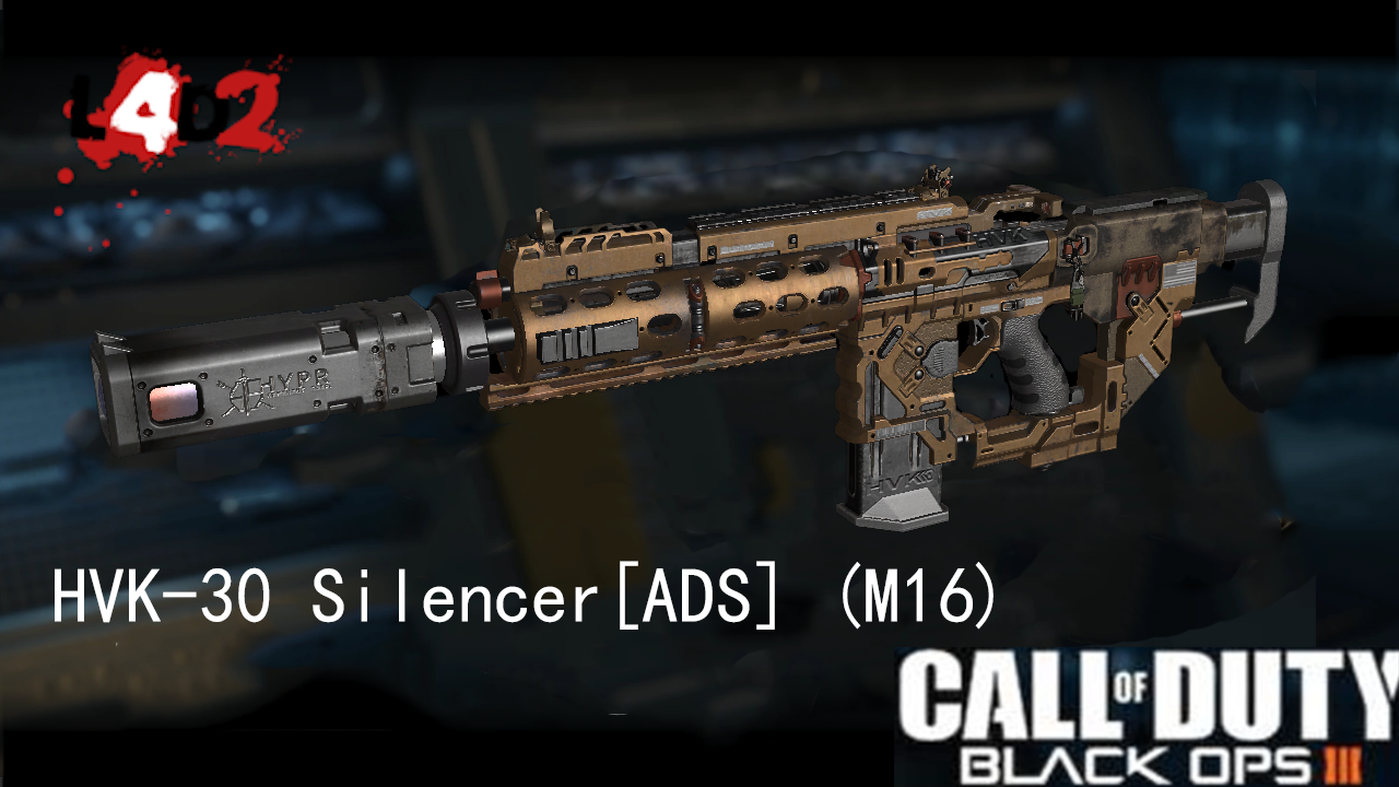 BO3 HVK-30 Silencer[ADS] (M16)