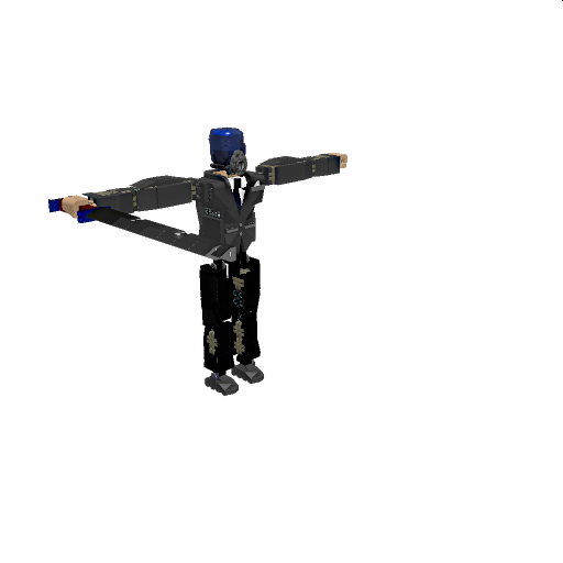 V.O.I.D member