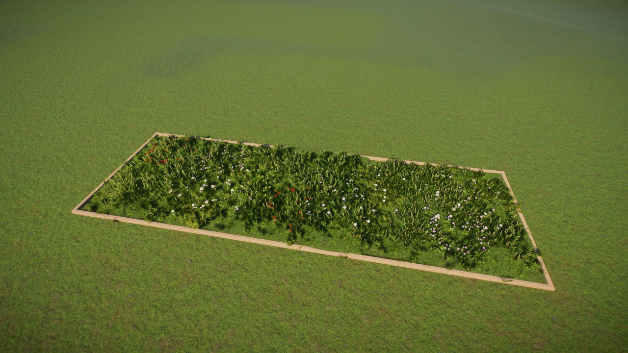 Grass