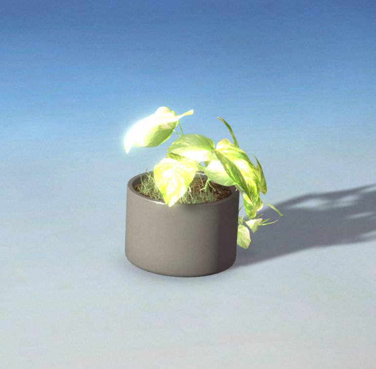 JUST A PLANT