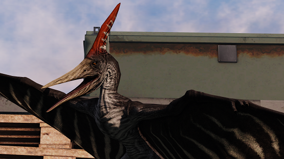 South American Ptera