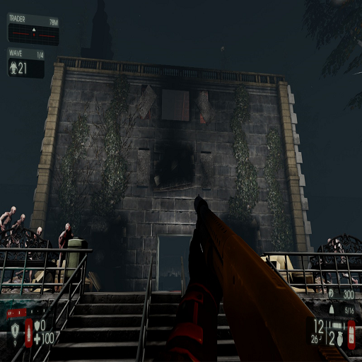 Mental Asylum