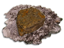 Peat + Mosses from Mud Deposits + Regen/Yield