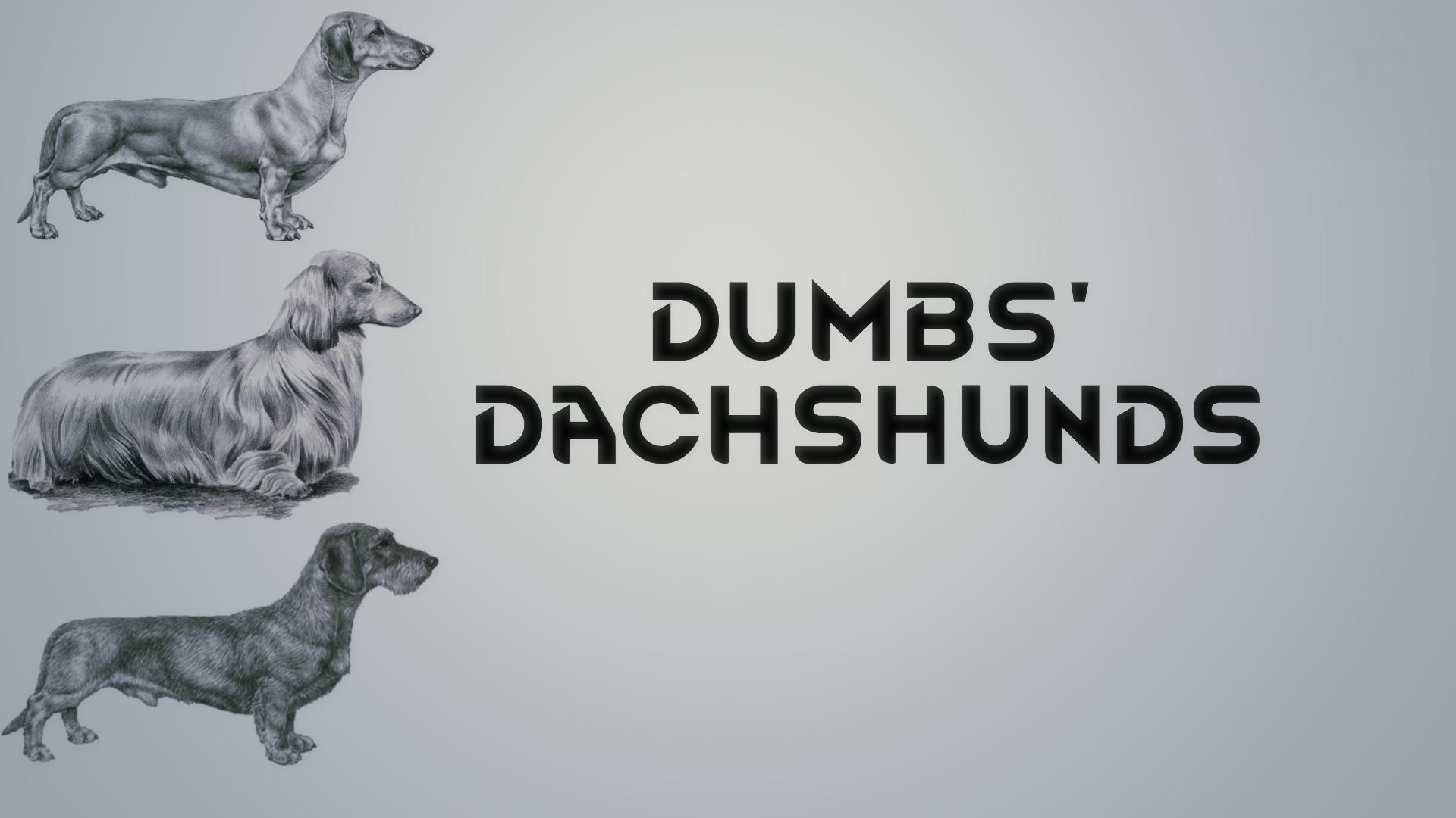 Dumbs' Dachshunds (Continued)