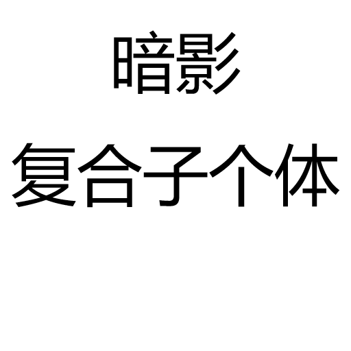 暗影复合子个体