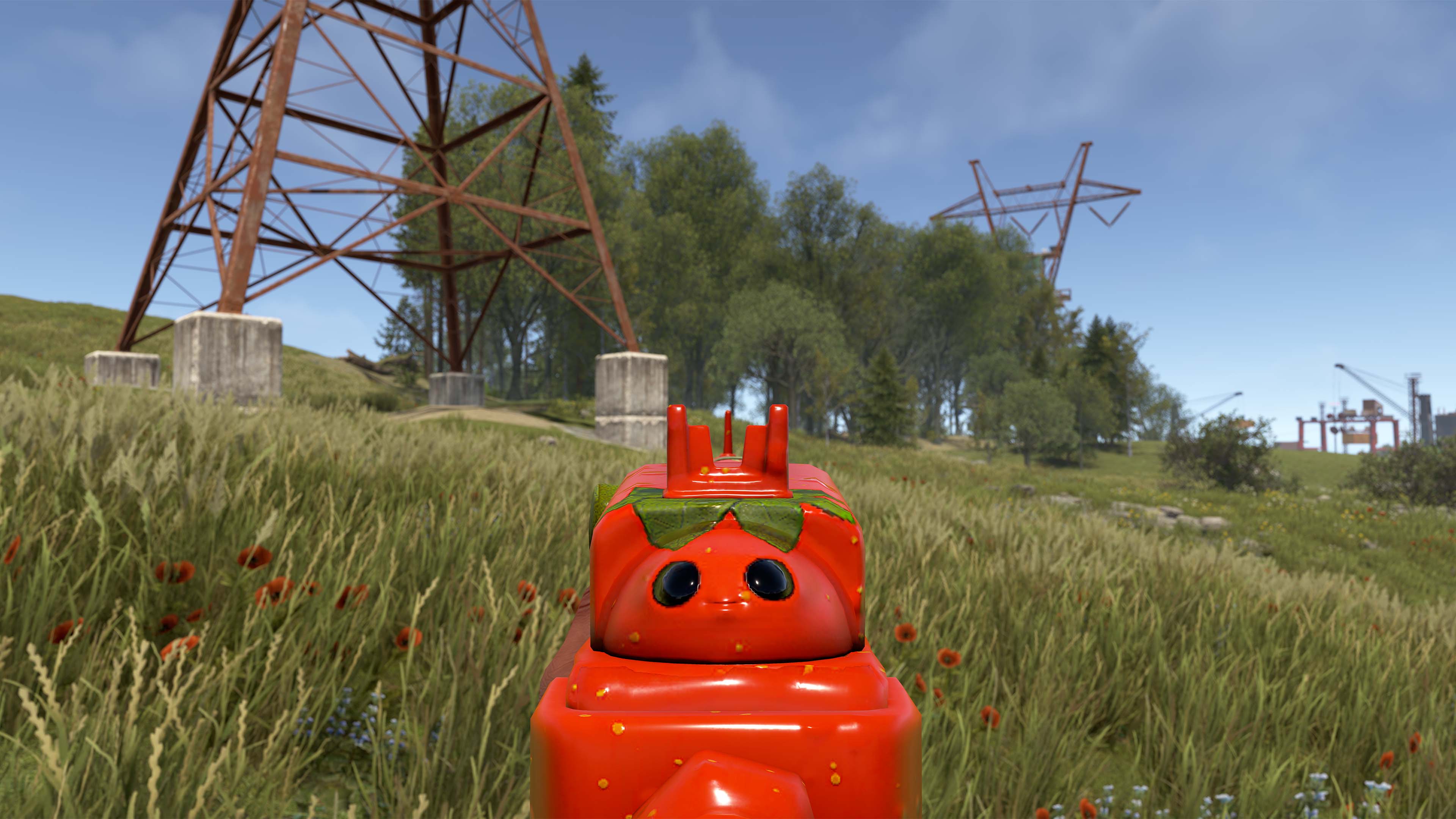 Señor Tomato SAR thumbnail 7