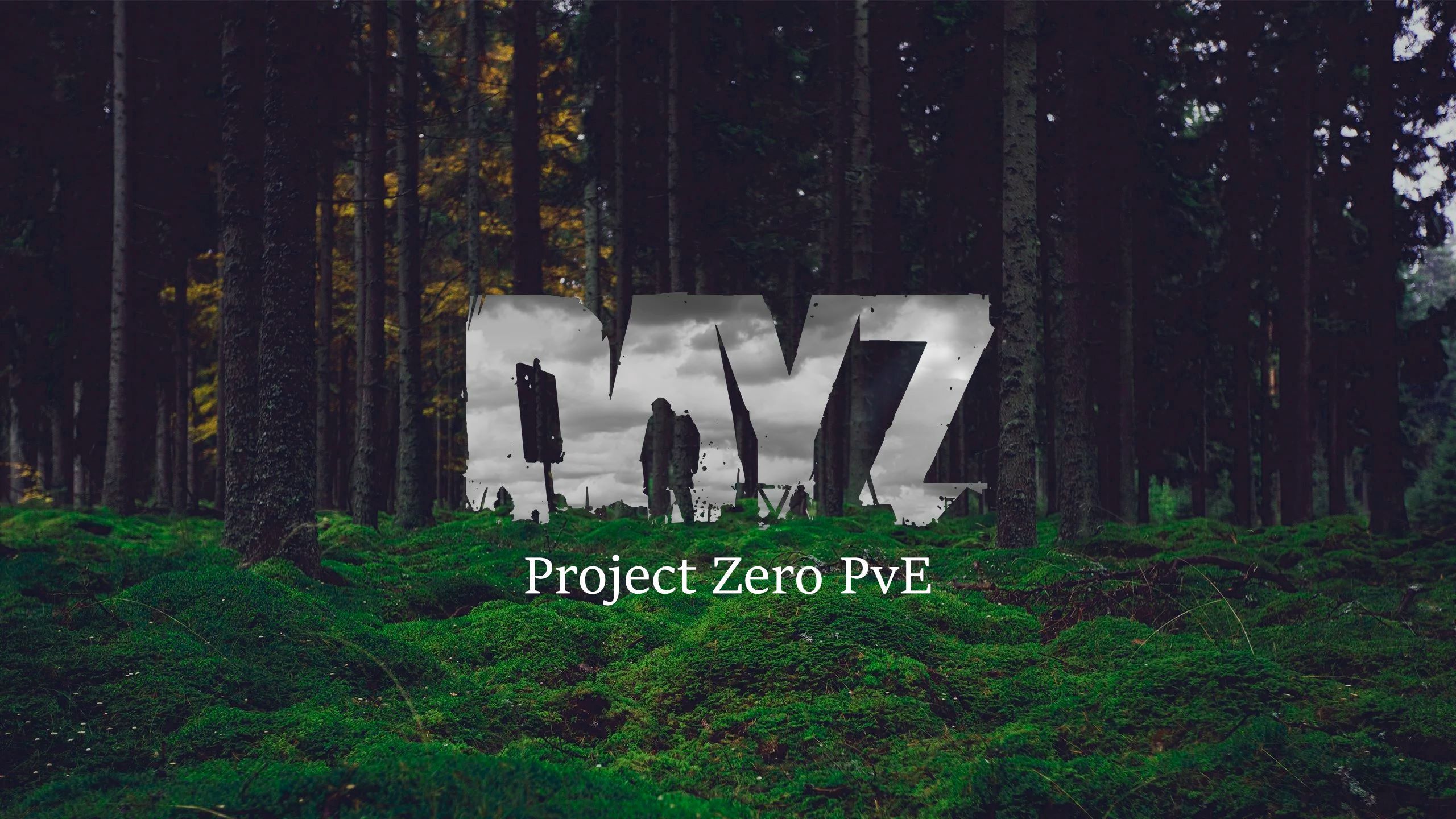 PzP Weapon