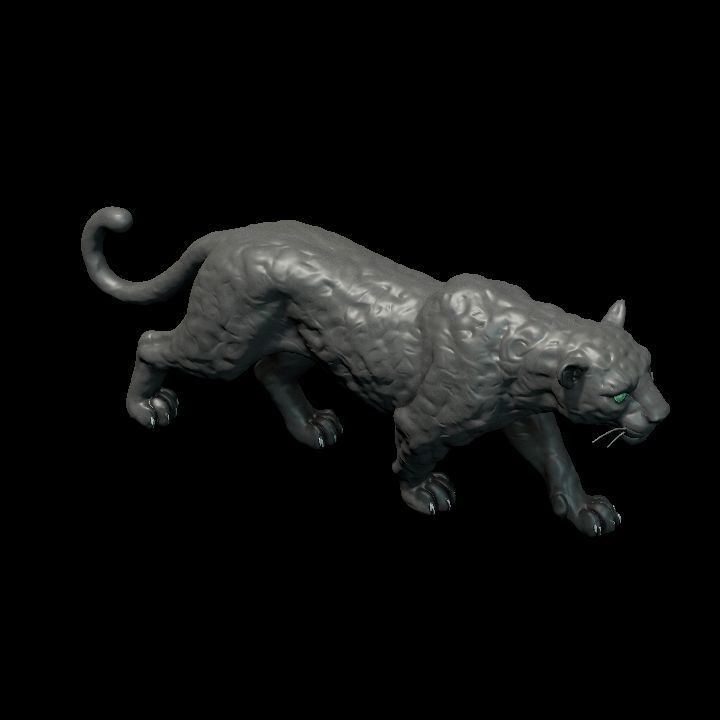 panther