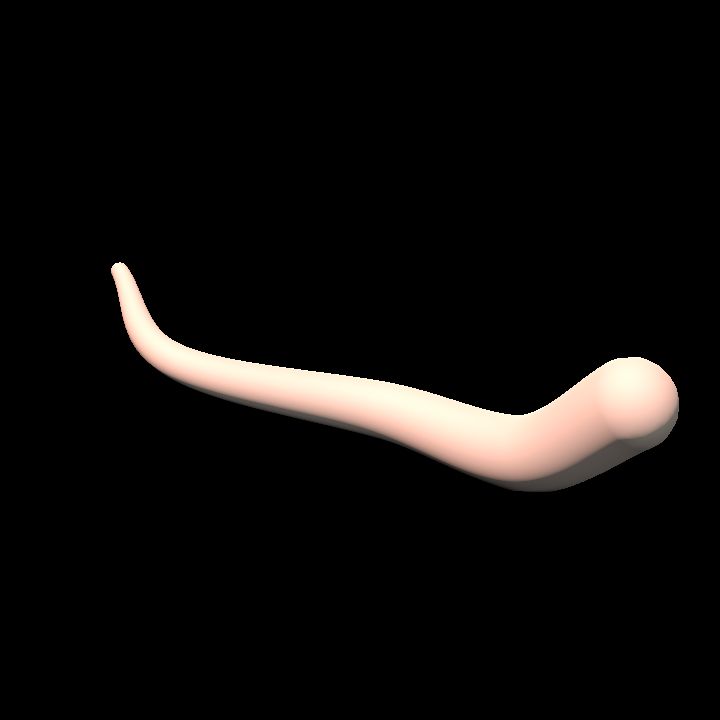 Pink Tubular Body