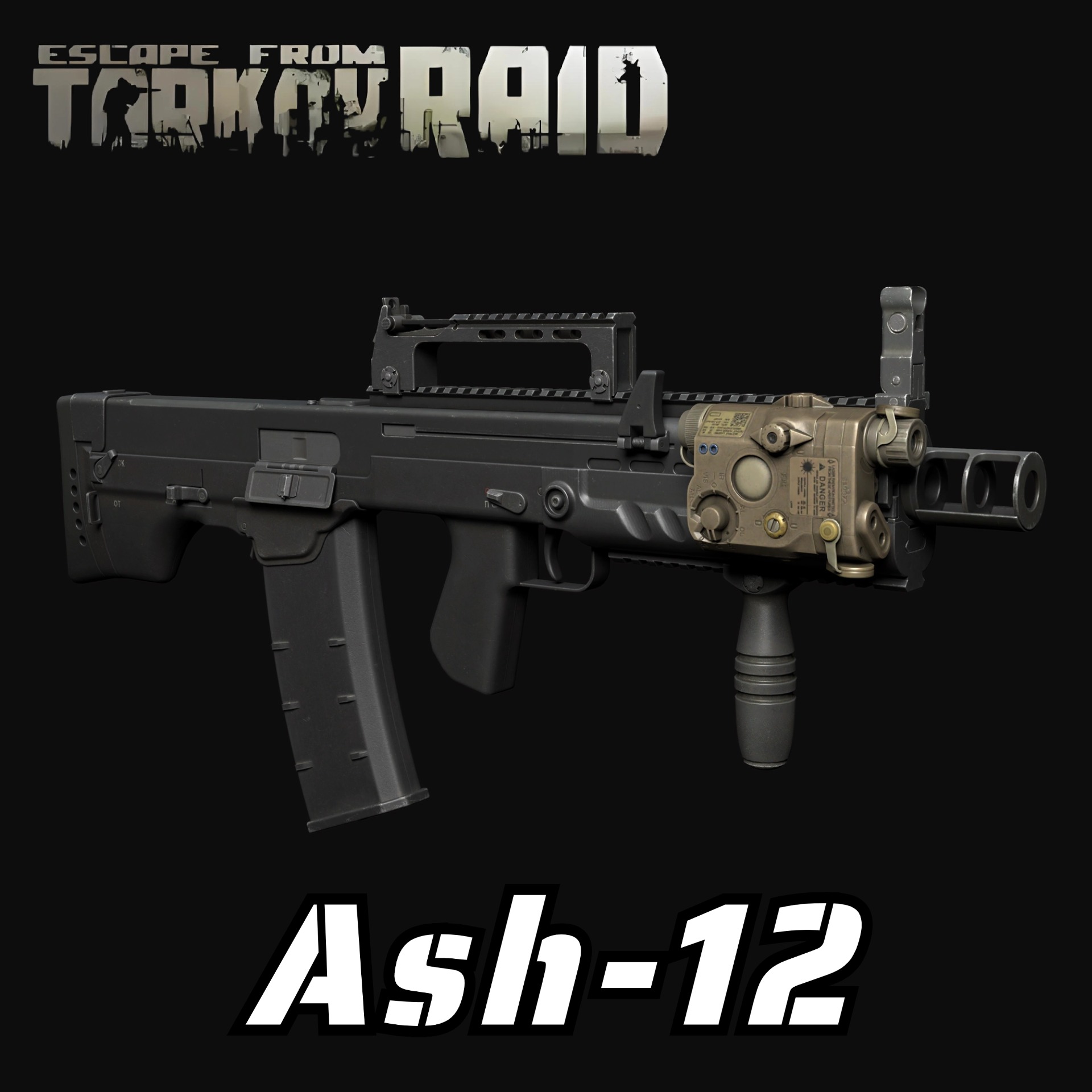 EFT Ash-12（Replace AK-47）