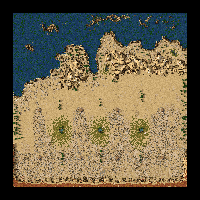 Sea Coast