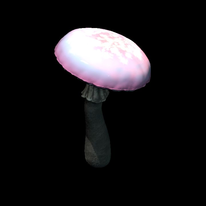 Mushroom_Middle_9_3