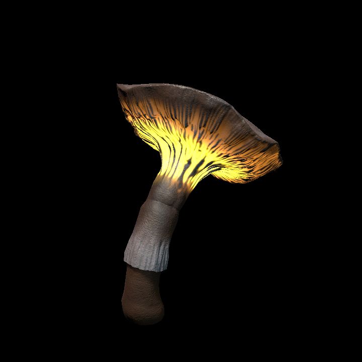 Mushroom_Middle_2_2