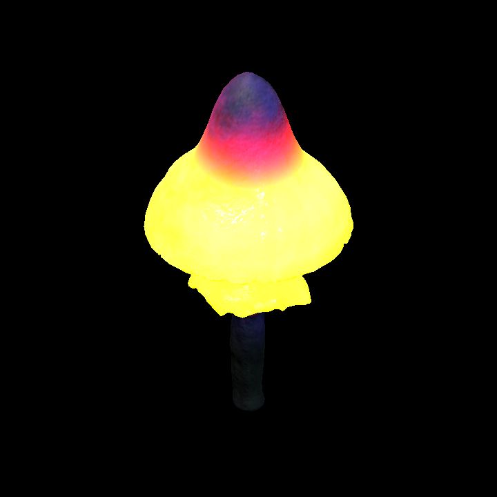 Mushroom_Middle_10_1