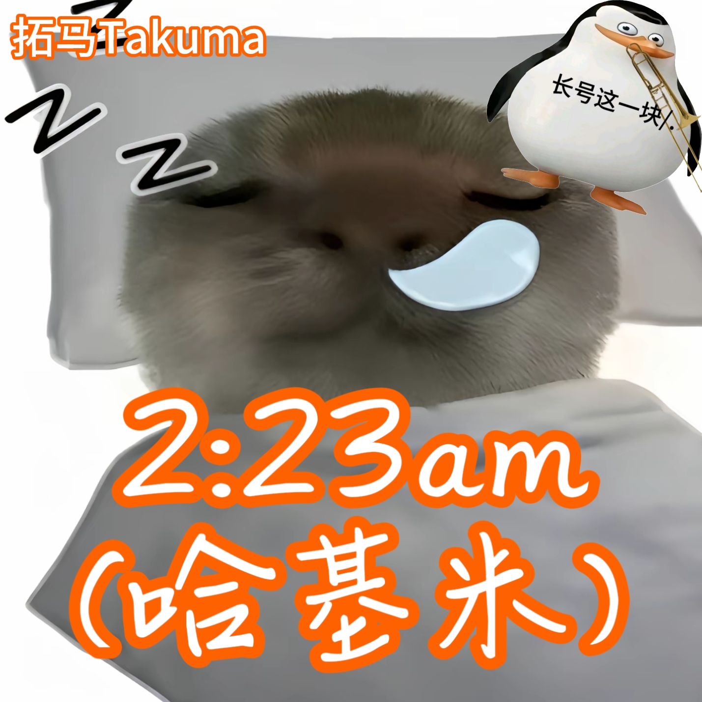 2:23am（哈基米）