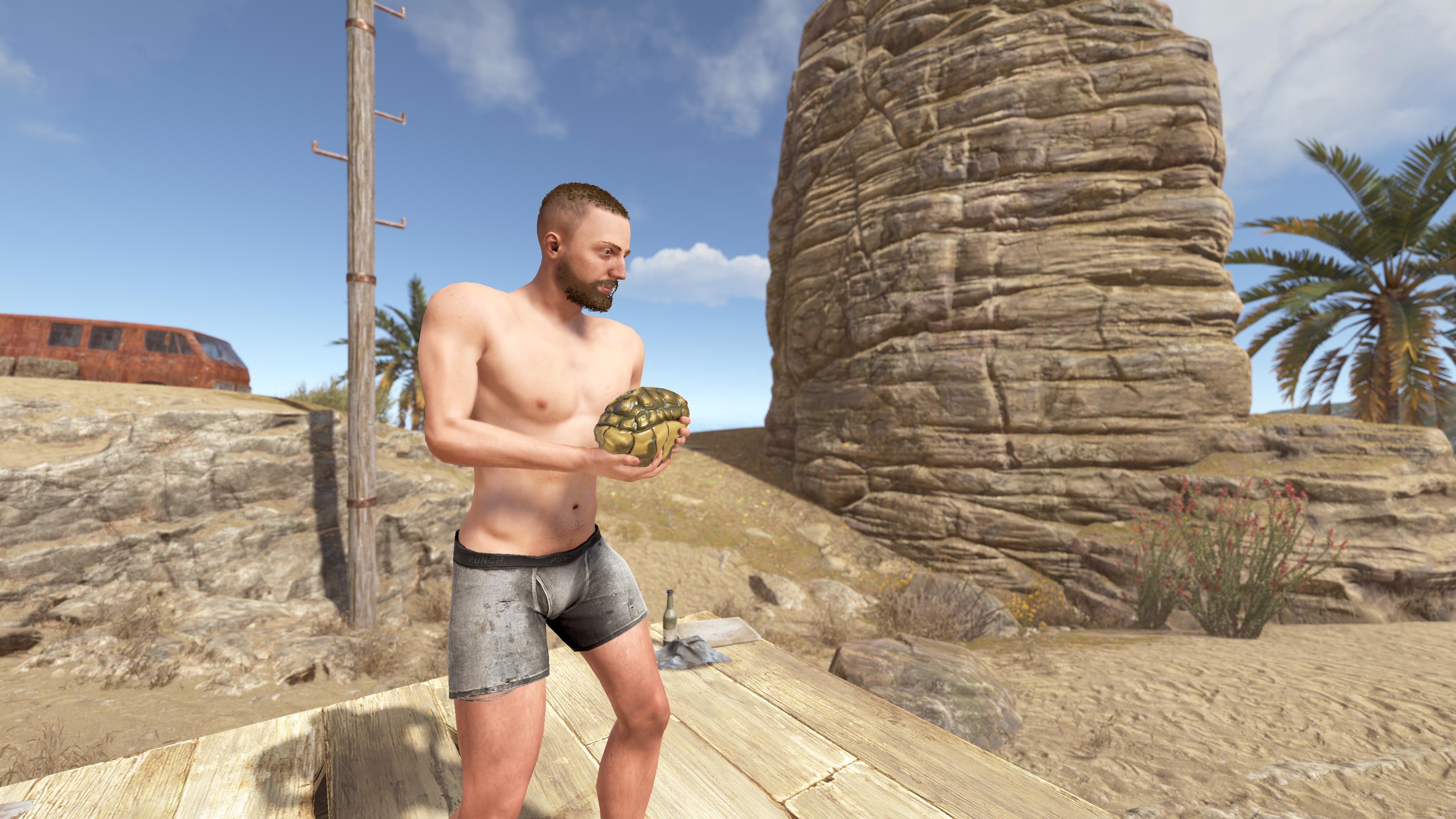 Tortoise Rock thumbnail 2