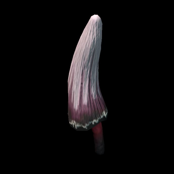 Mushroom_25