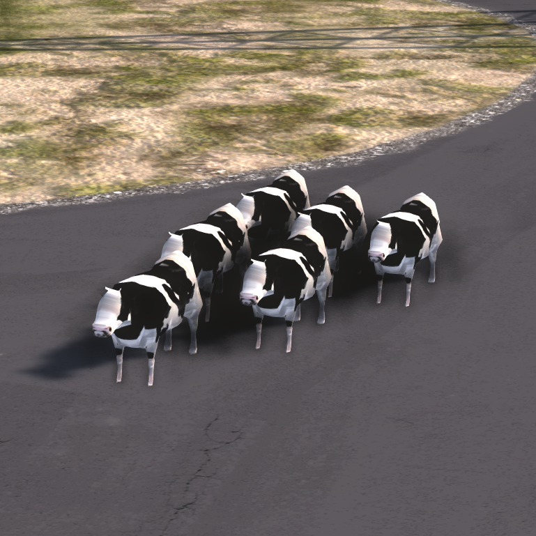 Cattle Drive
