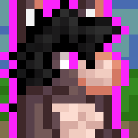 Snookey's Vanity Set – Terraria Mod