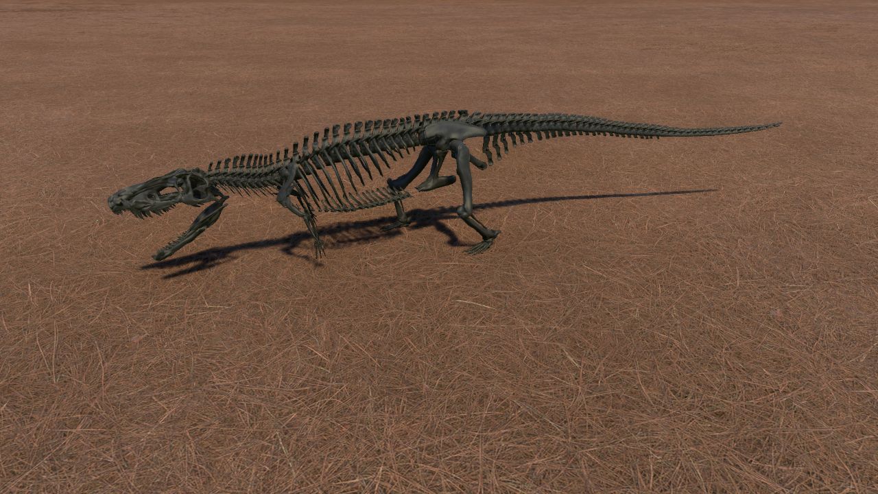 Postosuchus Skeleton