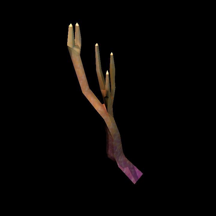 DA_CoralBranch4_1